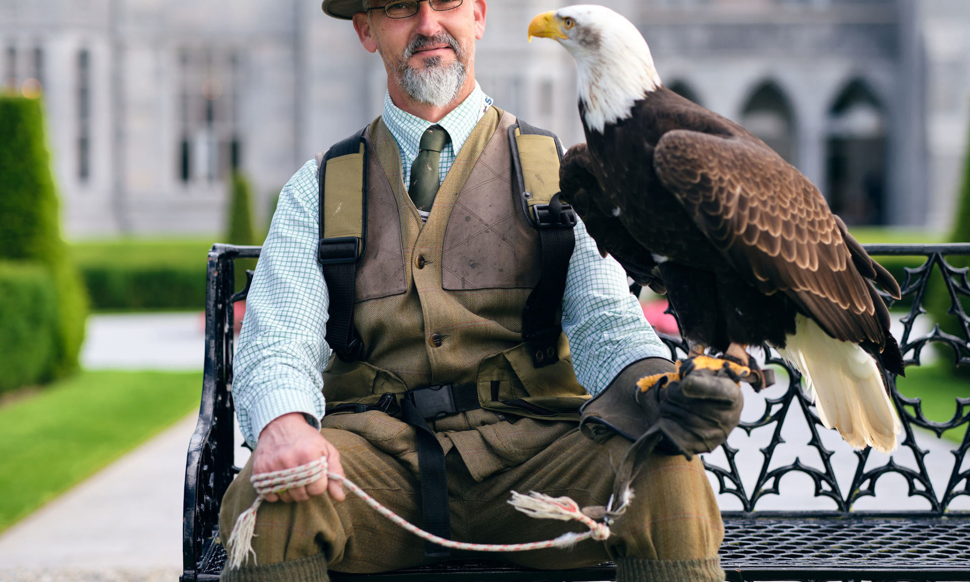 Falconry in Adare | Adare Country Pursuits | Adare Manor