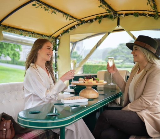 Adare_Manor_HorseandCarriage_02_Jack_Hardy_2022