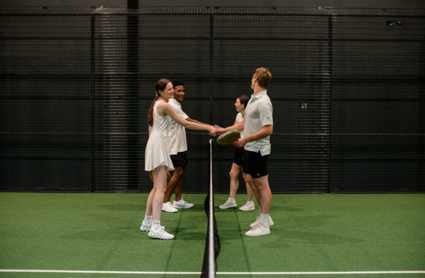 Medieval-style castle with pointy turrets, surrounded by lush greenery and a manicured lawn. The castle appears grand and luxurious, with intricate stonework and large windows.