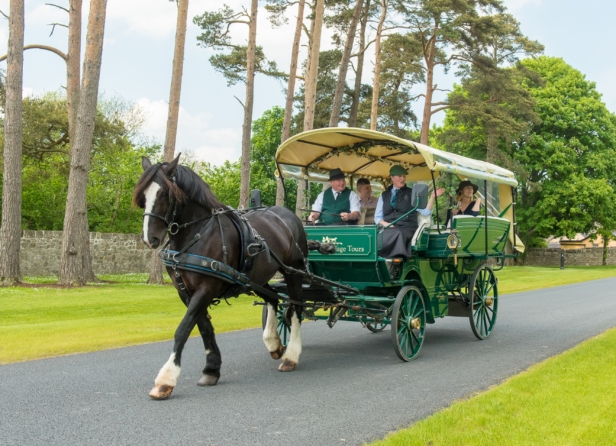 Guests enjoy a horse-drawn carriage tour across manicured lawns at Adare Manor, 5-star luxury Irish country estate, County Limerick