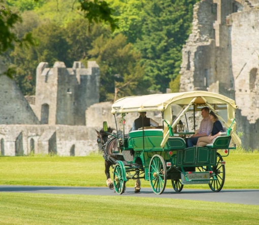 horse-drawn-carriage-4