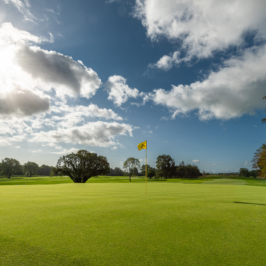 _780006_9th hole