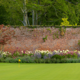 _7800098_putting green
