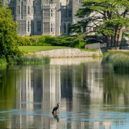 A luxurious bedroom suite in Adare Manor featuring a four-poster bed, elegant furnishings, ornate decor, with a view of lush greenery through large windows draped with heavy curtains.